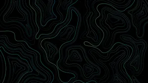 Bold Black And White Abstract Art Wallpaper