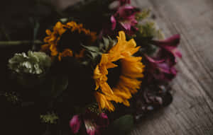 Bold, Unique Dark Sunflower Wallpaper