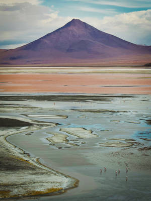 Bolivia Laguna Colorada Pink Lake Wallpaper