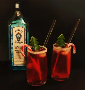 Bombay With Two Red Glasses Wallpaper