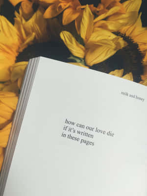 Book Sunflower Yellow Tumblr Aesthetic Wallpaper