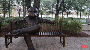 Boston University Dog Man Statue Wallpaper