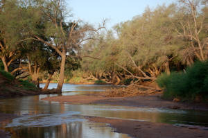 Botswana Tuli Wilderness Wallpaper