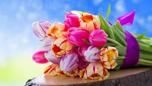 Bouquet Of Tulips On Log Wallpaper
