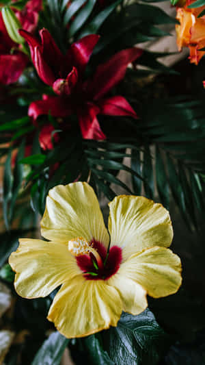 Bouquet Of Yellow Hibiscus Flower Wallpaper