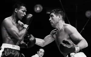 Boxer Joey Maxim Intensely Focused During A Match Wallpaper