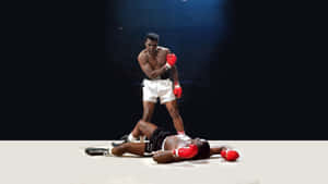 Boxing Best Sports Wallpaper