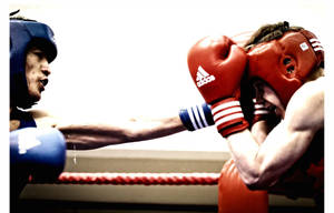 Boxing Jab Shot Wallpaper