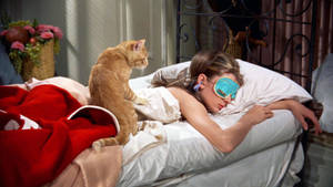 Breakfast At Tiffany's Holly Sleeping Wallpaper