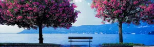 Breathtaking Scenery Of Spring Wallpaper