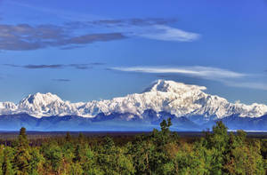 Breathtaking View Of Denali Under The Blue Sky Wallpaper