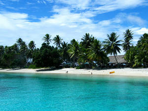 Breathtaking View Of Palm Trees In Majestic Marshall Islands Wallpaper