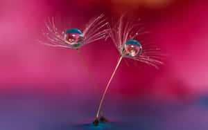 Breathtaking Views Of Google Pixel On The Water Wallpaper