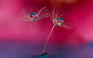 Breathtaking Views Of Google Pixel On The Water Wallpaper