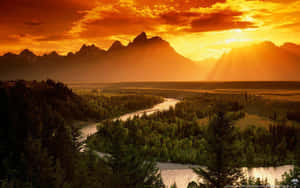 Breathtaking Yellowstone National Park Wallpaper