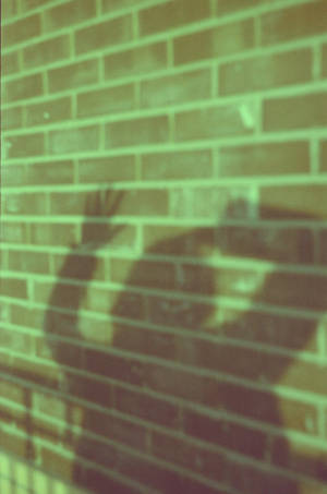 Brick Wall Iphone 11 Pro 4k Wallpaper