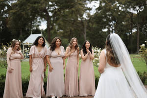 Bridesmaids Gazing At Bride Wallpaper