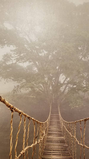 Bridge In The Middle Of Jungle Iphone Wallpaper