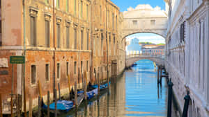 Bridge Of Sighs Servizio Gondole Wallpaper
