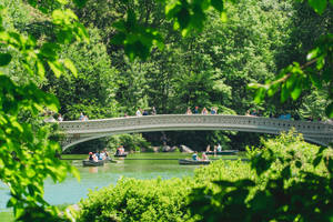 Bridge Over Central Park Lake Wallpaper