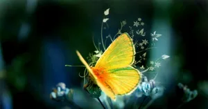 Bright And Beautiful Cute Yellow Butterflies Wallpaper