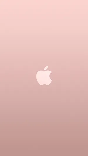 Bright And Beautiful Pink And White Combination Wallpaper