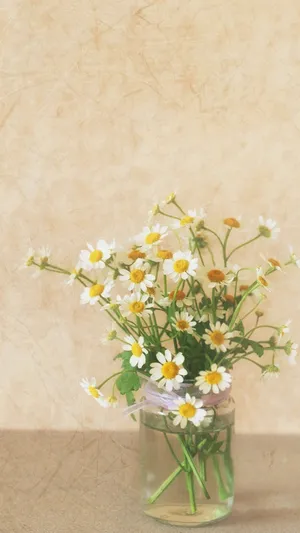 Bright And Vibrant Spring Daisy Bouquet Iphone Wallpaper Wallpaper