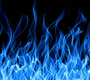 Bright Beautiful Flame Wallpaper