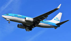 Bright Blue Sky Klm Airbus Wallpaper