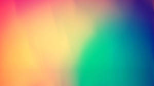 Bright Colors Brighten Up Your Day Wallpaper