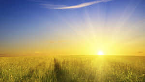 Bright Morning Sunrise Wallpaper