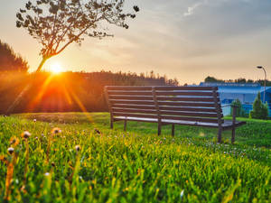 Bright Park Bench Wallpaper