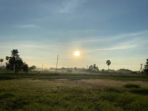Bright Sunbeams Illuminate A Field Of Flowers Wallpaper