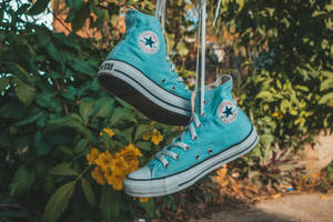 Bright Teal Converse Wallpaper