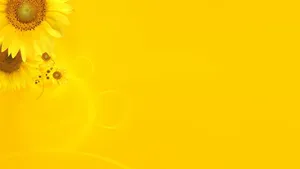 Bright Yellow Flower Aesthetic Wallpaper