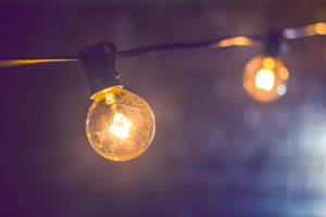 Bright Yellow Round Light Bulbs Wallpaper