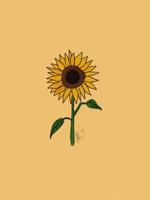 Brighten Up Your Day With A Beautiful Yellow Sunflower. Wallpaper