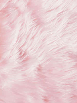Brighten Up Your Day With A Cute Aesthetic Ipad Wallpaper