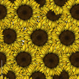 Brighten Up Your Day With A Sunny Yellow Sunflower. Wallpaper