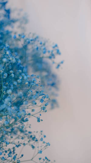 Brighten Up Your Day With This Cute Light Blue Wallpaper. Wallpaper