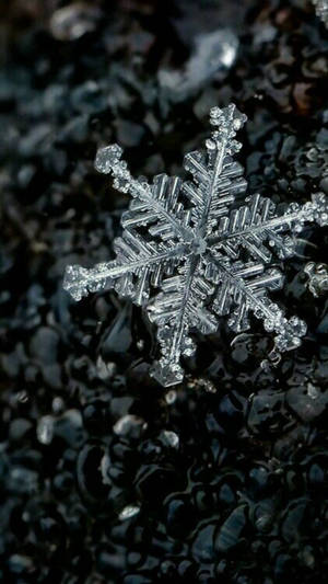 Brighten Up Your Winter With The Snowflake-themed Snowflake Iphone Wallpaper