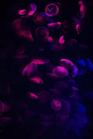 Brighten Up Your World With This Neon Pink And Blue Background! Wallpaper