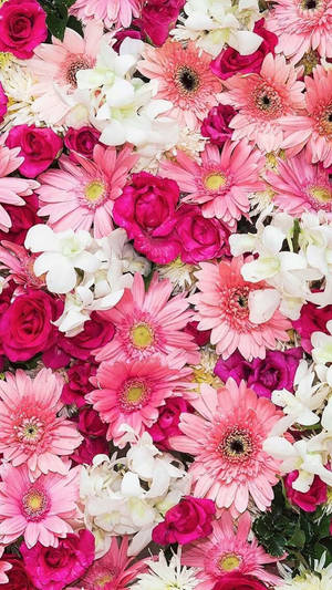 Bring Spring Indoors With This Beautiful Flower Iphone Wallpaper. Wallpaper