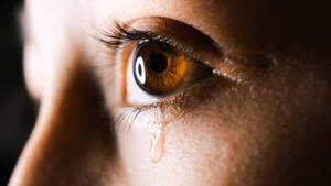 Brown Eye Tear Sad 4k Wallpaper