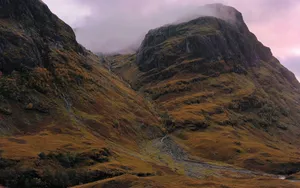 Brown Scotland Wallpaper
