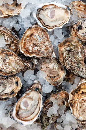 Brown Shell Oyster On Salt Wallpaper