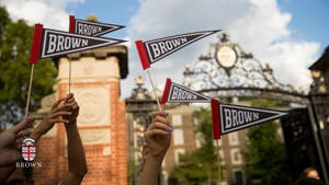 Brown University Flag Banners Wallpaper