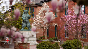 Brown University Statue And Flowers Wallpaper