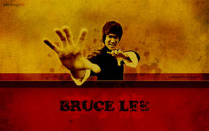 Bruce Lee Practicing The Iconic One-inch Punch Wallpaper