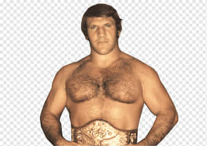 Bruno Sammartino American Professional Wrestler Wallpaper